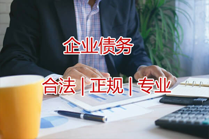 债务诉讼强制执行无资金偿还的应对策略